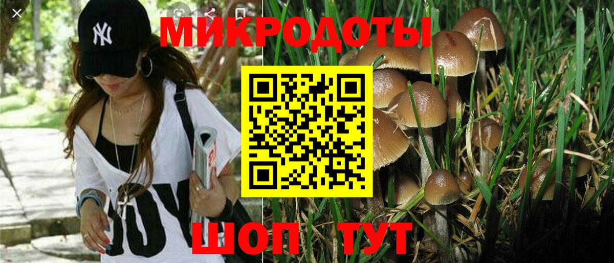 Псилоцибиновые грибы MAGIC MUSHROOMS Кудрово
