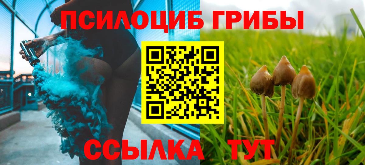 Кудрово  Псилоцибиновые грибы Psilocybe  Вход с VPN 
